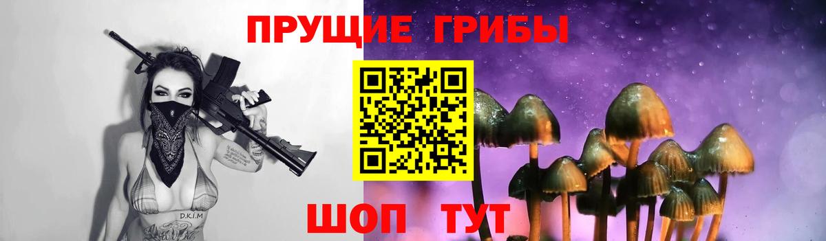 Галлюциногенные грибы Magic Shrooms  Галлюциногенные грибы мухоморы  как найти   Вход с VPN  Выкса 